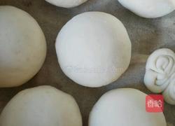 馒头的做法图解5