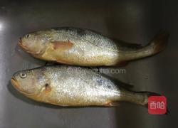 葱烧黄鱼的做法图解1