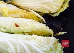 蚝油娃娃菜的做法图解6