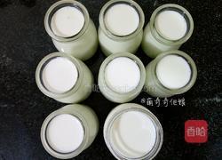 老酸奶的做法图解8