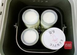 老酸奶的做法图解9