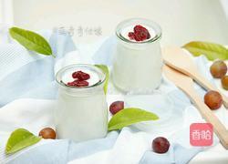 老酸奶的做法图解10