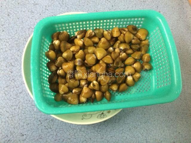 清洗干净后的蚶子，滤干水分备用。