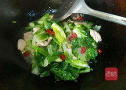 小白菜炒肉的做法图解5