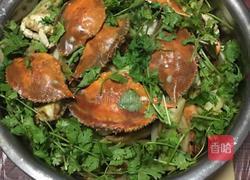 蟹煲的做法图解10