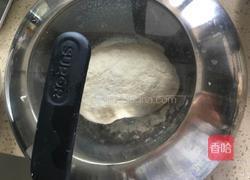 青菜大肉包的做法图解1