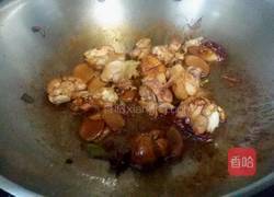 仔姜炒鸡的做法图解7