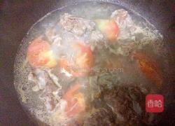 西红柿排骨的做法图解7