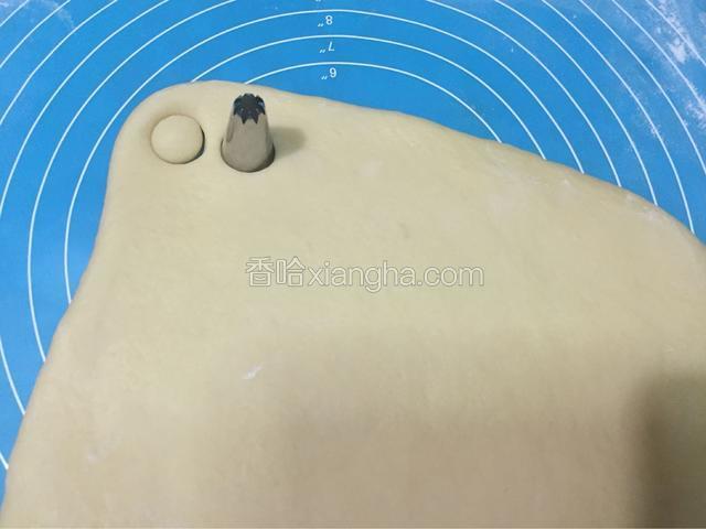 按压成圆形面团