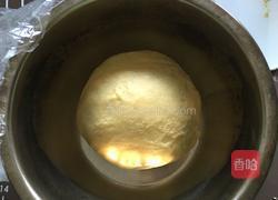 卡通鱼面包的做法图解4