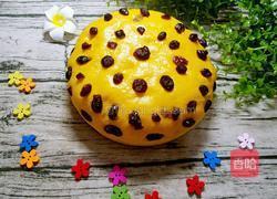 蒸南瓜松糕的做法图解11