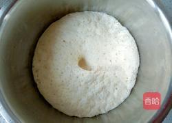 芝麻葱油小花卷的做法图解4