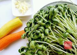 素炒豌豆苗的做法图解1