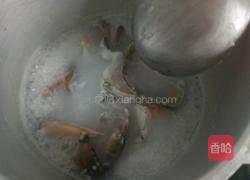 蟹粥的做法图解5
