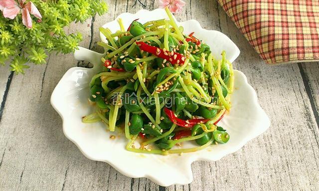 凉拌豆苗