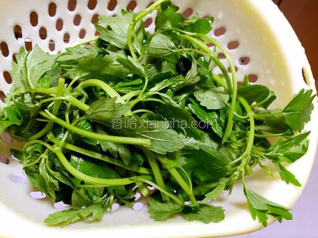 益母草去根只留上面嫩的叶子和梗，洗净沥干水。