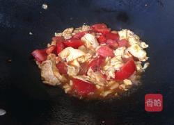 番茄盖浇饭的做法图解7