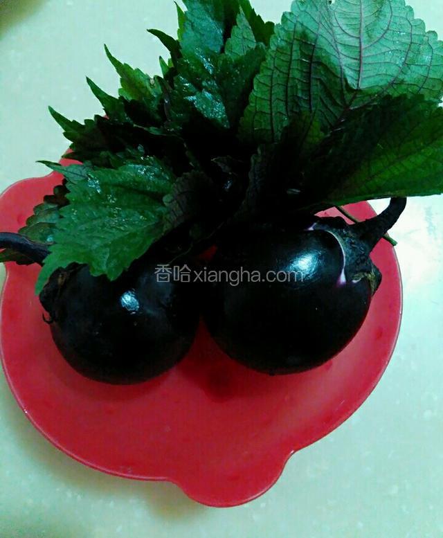 材料好材料。