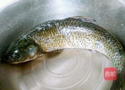 水煮豆腐鱼的做法图解1