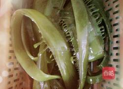 爆炒海白菜的做法图解1