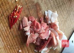 酱爆荷兰豆的做法图解4