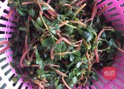 马齿苋炒肉的做法图解5