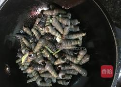 炒钉螺的做法图解5