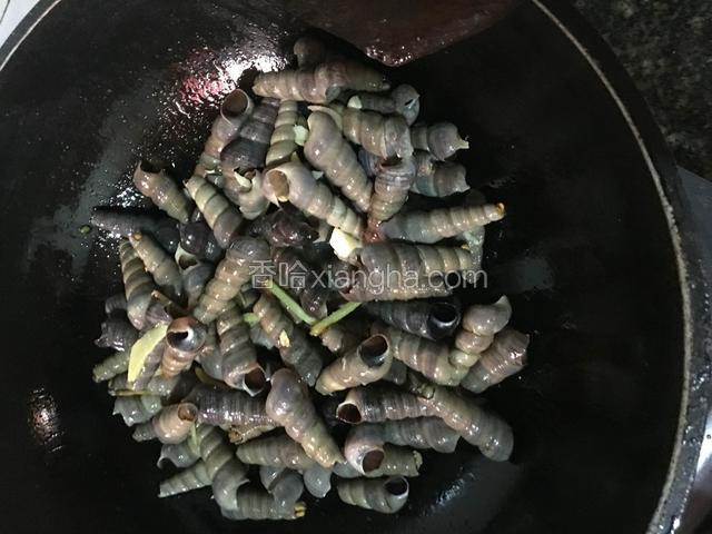 倒入螺不停的翻炒