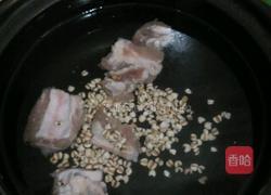 冬瓜排骨薏米汤的做法图解4