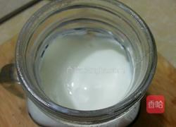 奥利奥盆栽酸奶的做法图解4