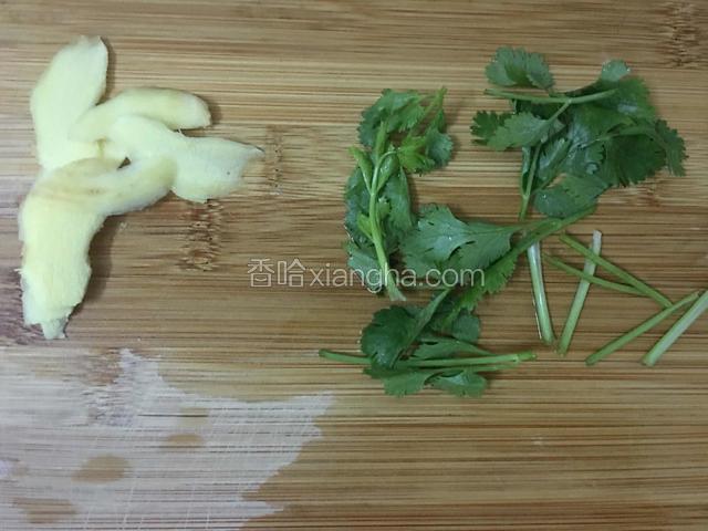 姜去皮切片，香菜切段待用。
