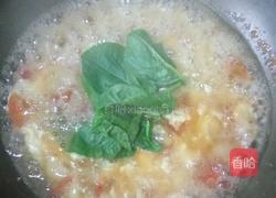 番茄鸡蛋贝壳羹的做法图解5