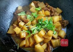 蘿卜燜牛腩的做法圖解9