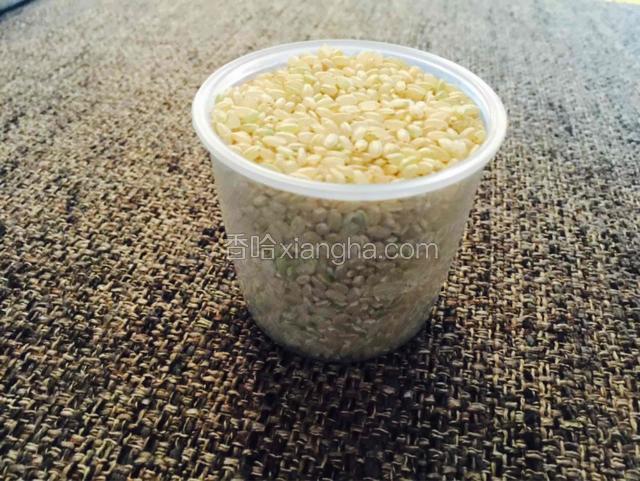我就用一计量杯的糙米来示范