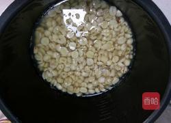 莲蓉馅的做法图解6