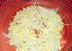 酸辣黄豆芽的做法图解2