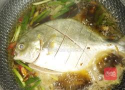红烧金枪鱼的做法图解5