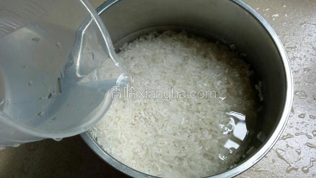 米淘洗干净加入适量水。