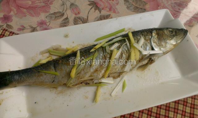 青鱼去内脏去鳞清洗干净，在鱼两面打上花刀，洒上料酒，盐，胡椒粉抹匀，再在鱼身上，鱼腹内放上葱姜腌制２０分钟
