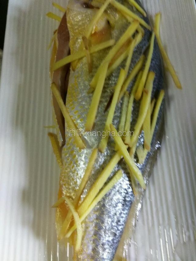姜丝把鱼下，鱼肚子里，鱼表面都撒上姜丝