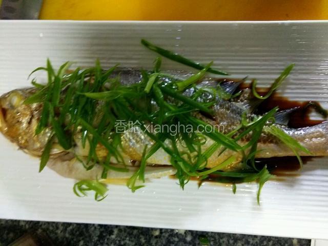 铺上葱丝，把滚油淋在葱丝上即可