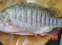 清蒸丁桂鱼的做法图解1