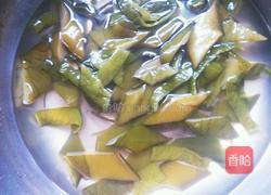 凉拌海白菜的做法图解2