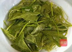 上汤南瓜苗的做法图解3