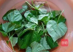 蒸地瓜叶的做法图解1