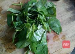 蒸地瓜叶的做法图解2