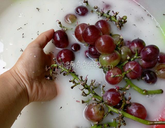 用手提着葡萄串在水中来回提拉或者双手捧着轻轻揉搓后再浸泡1-2分钟。