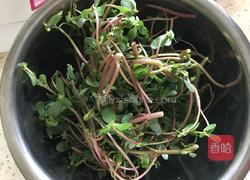 马齿苋窝窝头的做法图解3