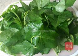 炒红薯叶的做法图解1