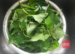 炒红薯叶的做法图解2